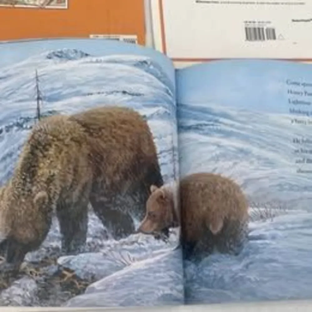 Lot of 5 kids books, colorful illustrations large format hardcover